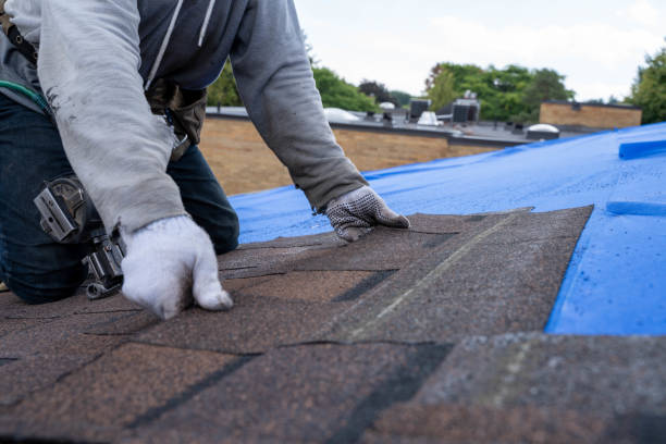Best Shingle Roofing Installation  in Chinle, AZ